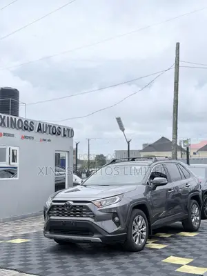 Toyota RAV4 Limited AWD 2020 Gray