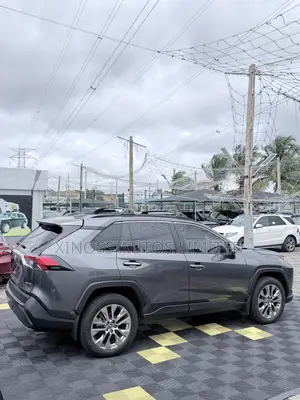 Toyota RAV4 Limited AWD 2020 Gray