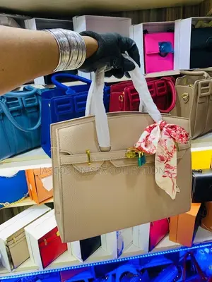 Ladies Handbag