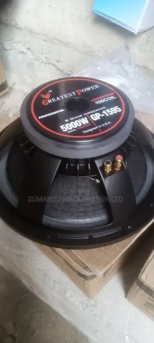 5000W GP Naked Speaker
