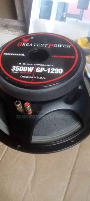 Gp 3500Watts Naked Speaker