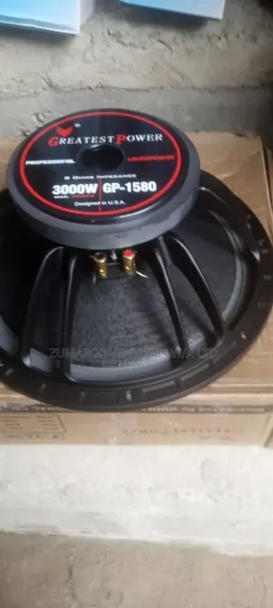 3000watts Gp Naked Speaker