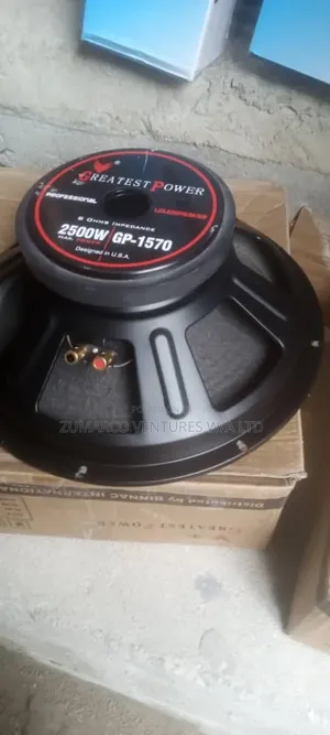 2500watts Greatest Power Naked Speaker
