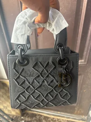 Original Dior Bag Available in Different Colors