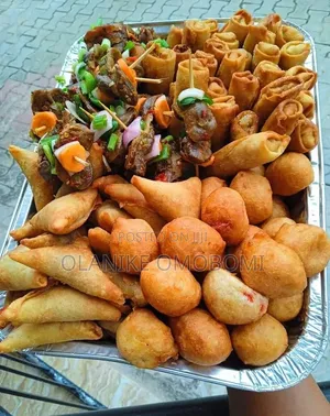 Samosa and Spring Rolls