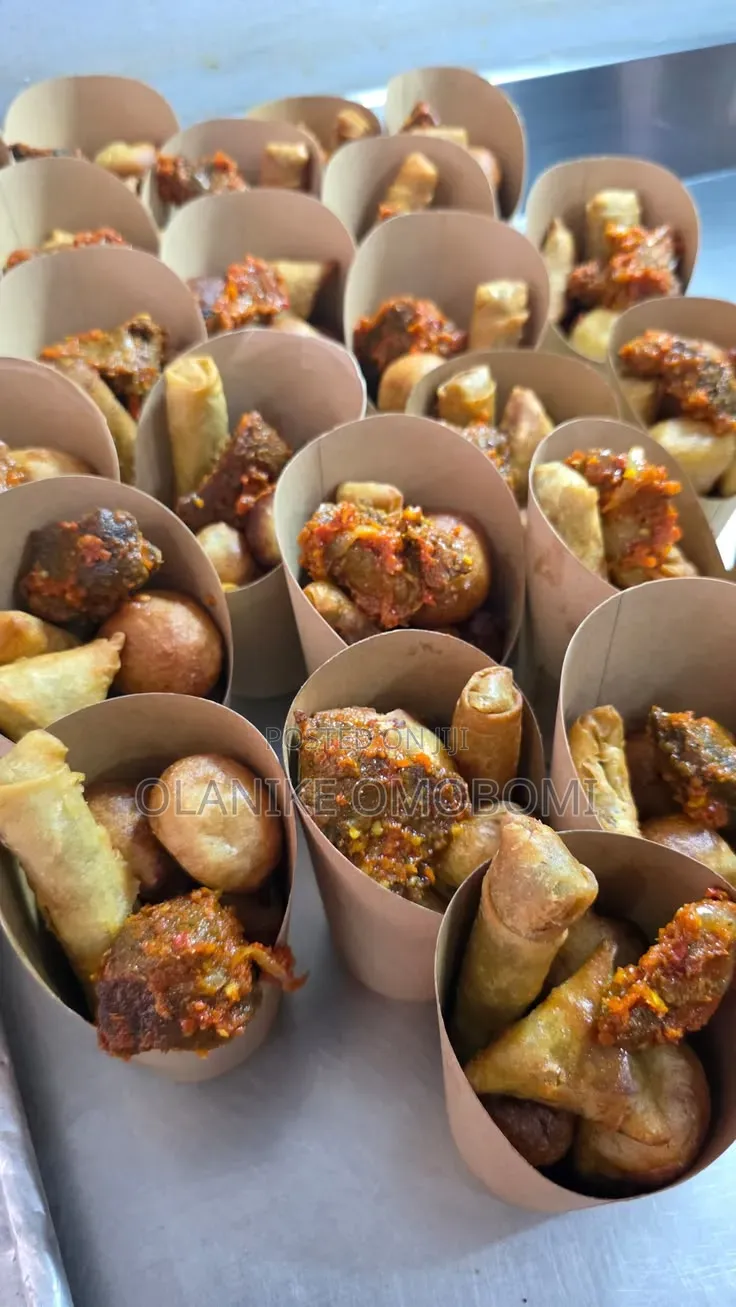 Samosa and Spring Rolls