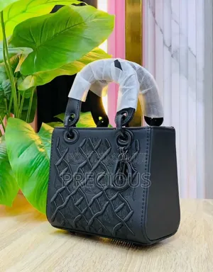 Original Dior Bag Available in Different Colors