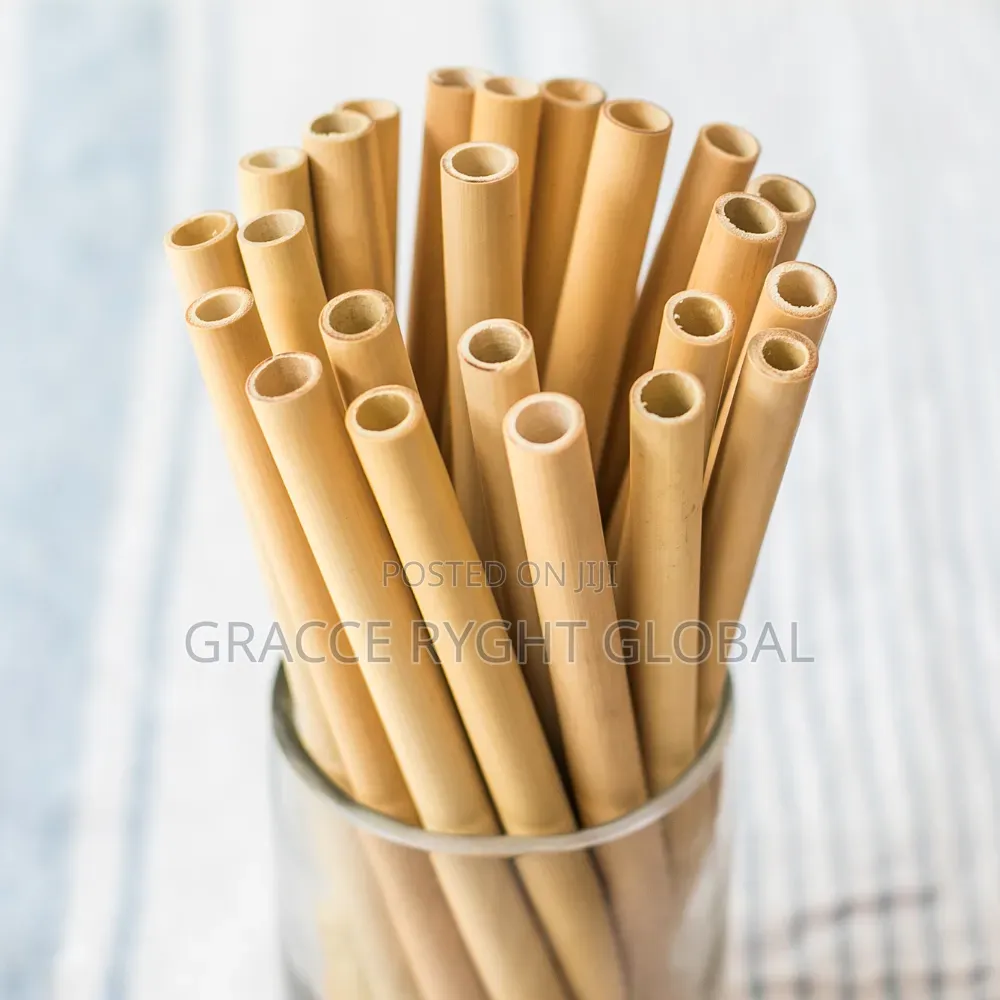 10pcs Bamboo Straw