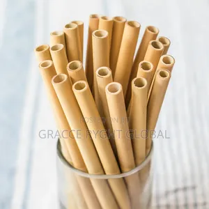 10pcs Bamboo Straw