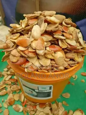 I Sell Quality Farm Produce Such as Ogbonor, Melon Seed, and Cereals.