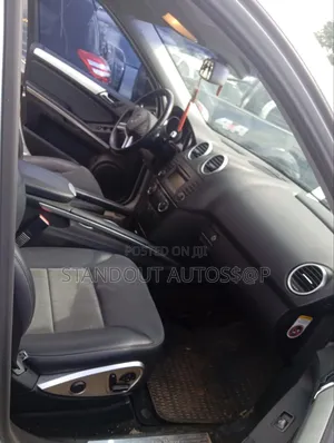 Mercedes-Benz M Class 2010 Silver