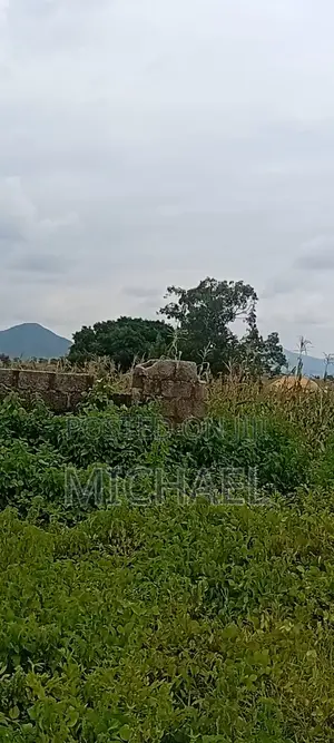 Own Affordable Premium Land in Abuja Today Cof O , 1004sqm,