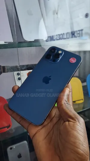 Apple iPhone 12 Pro Max 256 GB Gray