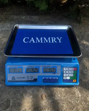 Digital Scale