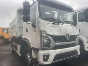 Brand New Entry Super Clean 20206 Sagmoto Tipper