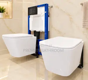 Kings Water Conceal Closet