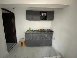 Mini Flat in Ifedore for rent