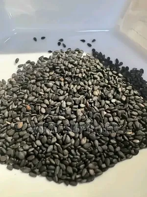Black Sesame Seed Is Available