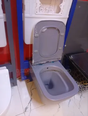 Morden Hung-Wall Concealed Water Closet