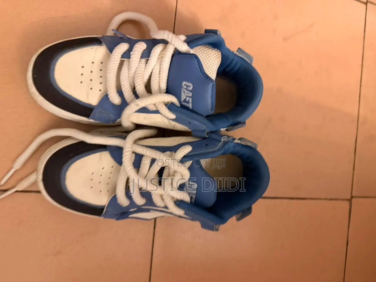 Cat Sneakers
