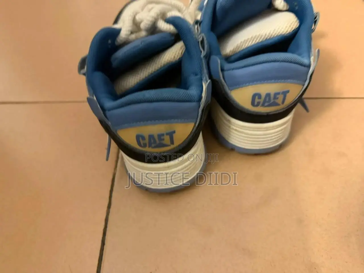 Cat Sneakers