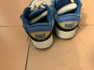 Cat Sneakers