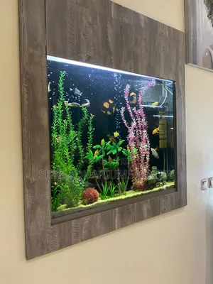 Wall Aquarium
