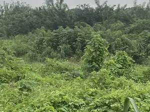 2 Plot of Land