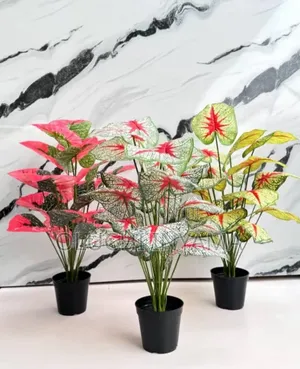 Horticulture