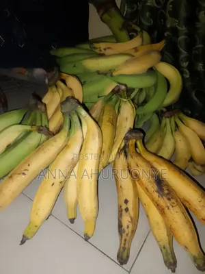 Bunch and Head of Plantain