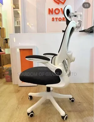 Ergonomic Mesh Office Chair With Headrest