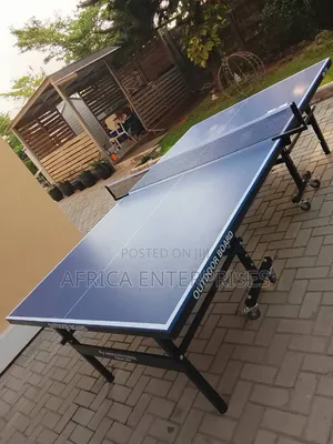 Outdoor Table Tennis