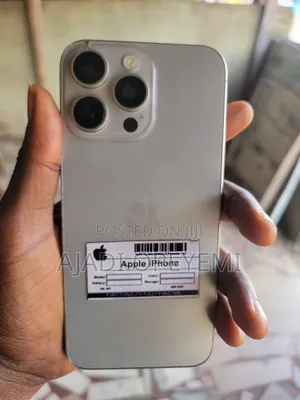 Apple iPhone 15 Pro Max 256 GB Gray