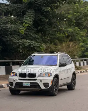 BMW X5 xDrive35d AWD (3.0L 6cyl 6A) 2010 White