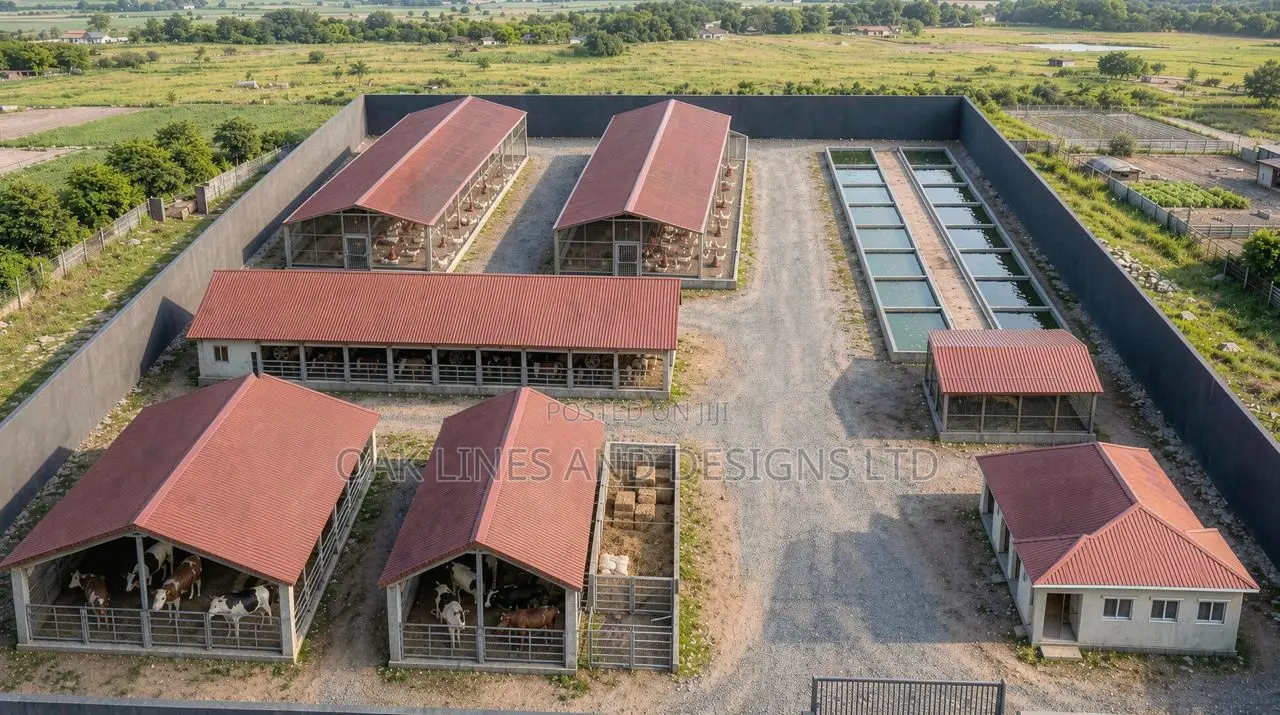 Getting Your Building Project Started in 2026 (People Home and Abroad)