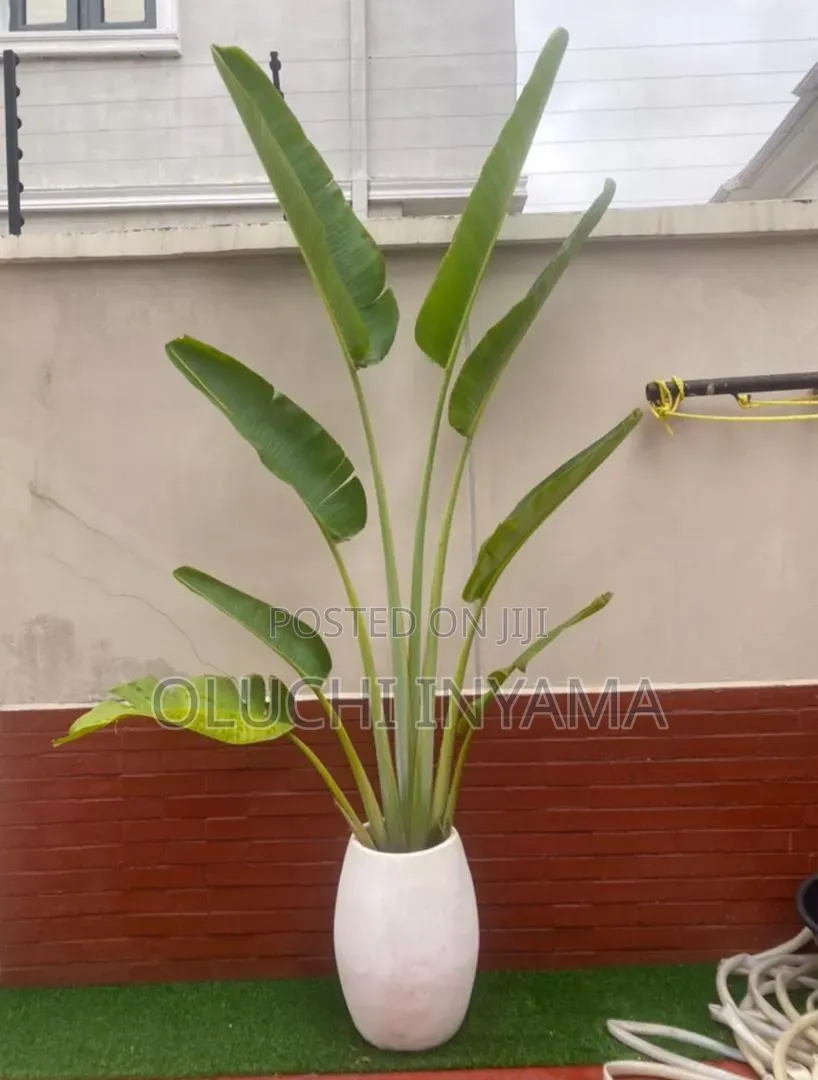 Horticulture