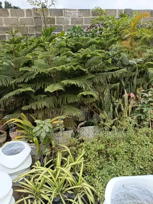 Horticulture