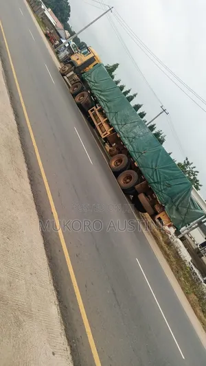 Best Cement Distributor of Dangote and Bua