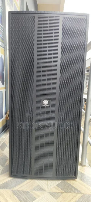 STX 215 Steck Audio Professional Cloud Speaker