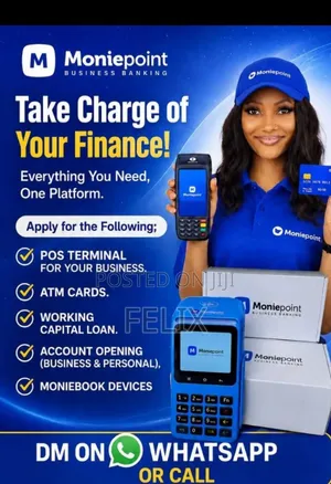 Moniepoint POS Terminal and Loan Services