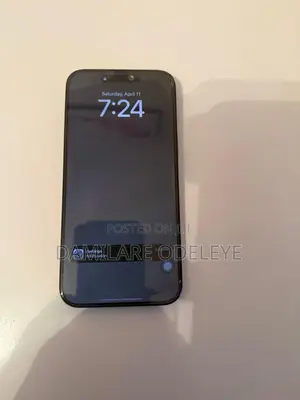 Apple iPhone 15 Pro Max 256 GB Gray