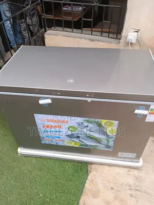 BD-450G Snowsea 450L Deep Freezer – Large Storage Capacity