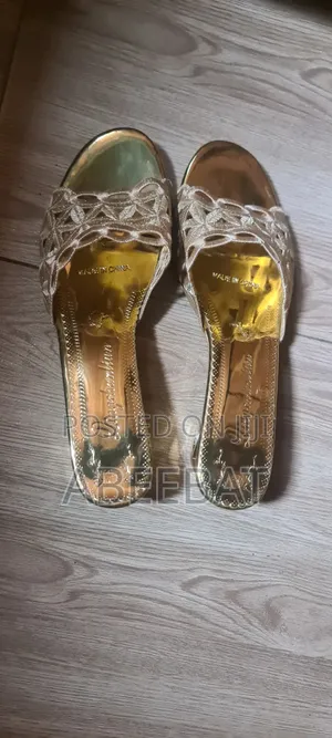 Ladies Shoe