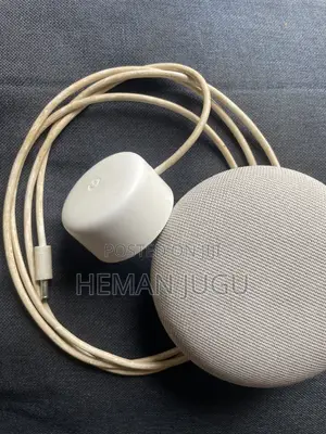 Google Nest Mini