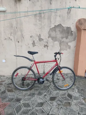 Adult High Frame Bicycle