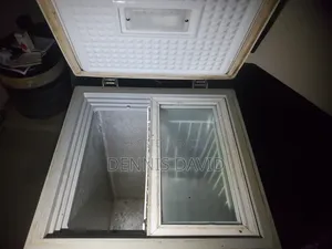 Sharpage Cheast Freezer