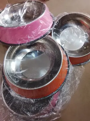 Stainless Bowl ( Colours)