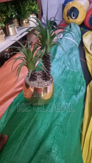 Table Flower Available