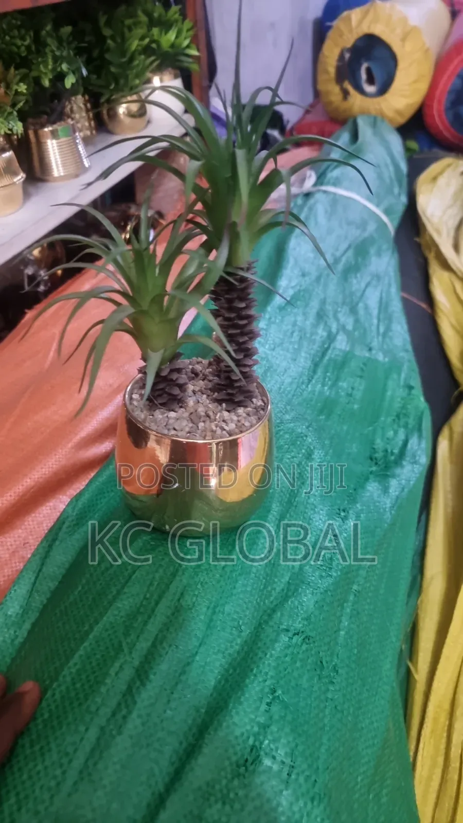 Table Flower Available