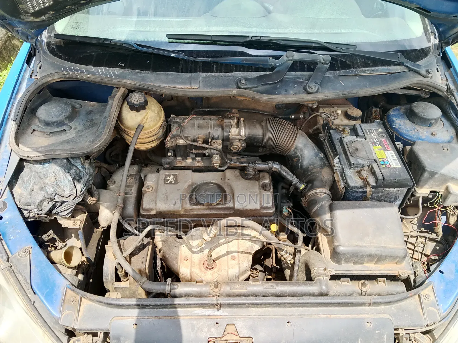 Peugeot 206 2004 Blue